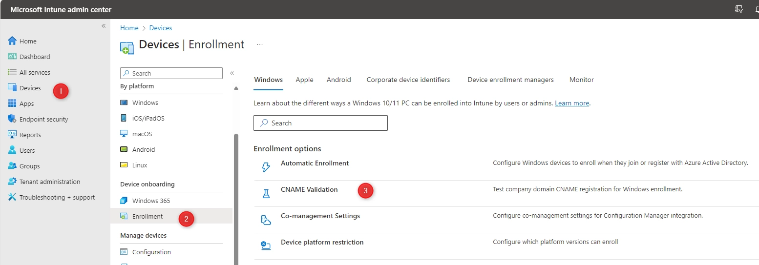 Intune Windows Devices Enrollment